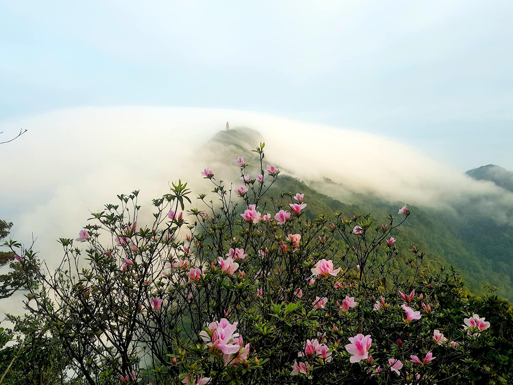The picturesque scenery at Ba Vi National Forest